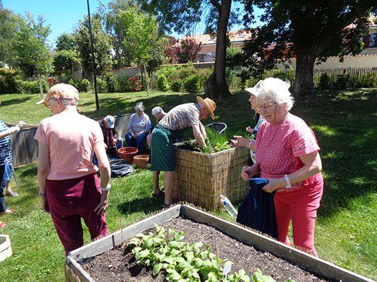 Les bienfaits du jardinage pour les seniors 